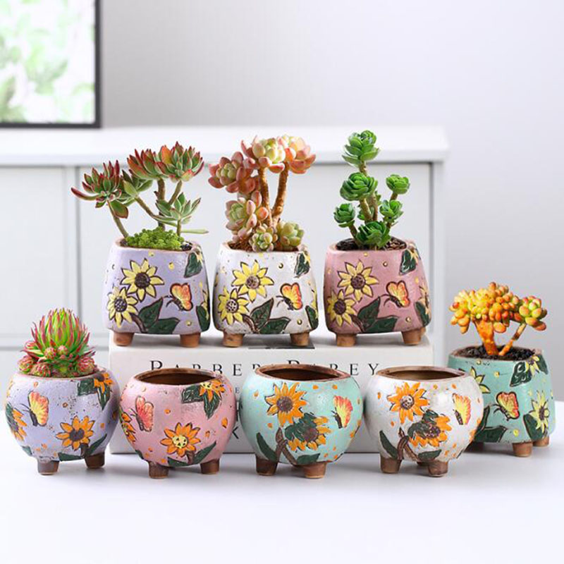 Echeveria Succulent - Koreaanse stijl zonnebloempatroon vetplant pot ademende