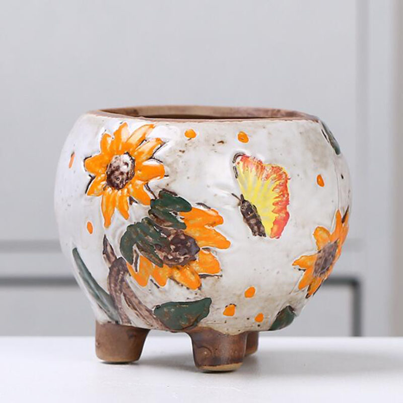Koreaanse stijl zonnebloempatr - Echeveria Succulent recensie en prijs