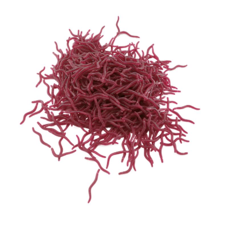 100PCS Zachte Lokken Bass Bras - Aglaonema Red recensie en prijs