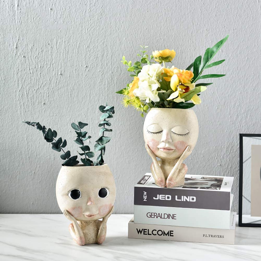 Meisjes gezicht hoofd bloem pl - Echeveria Succulent recensie en prijs